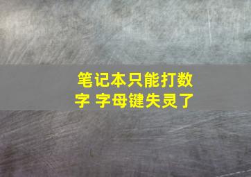 笔记本只能打数字 字母键失灵了